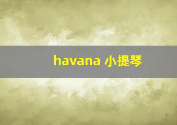 havana 小提琴